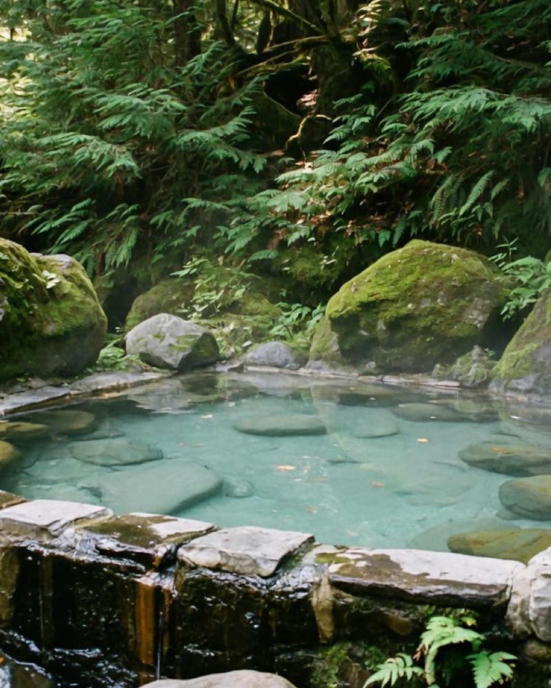 An empty stone bath in the woods