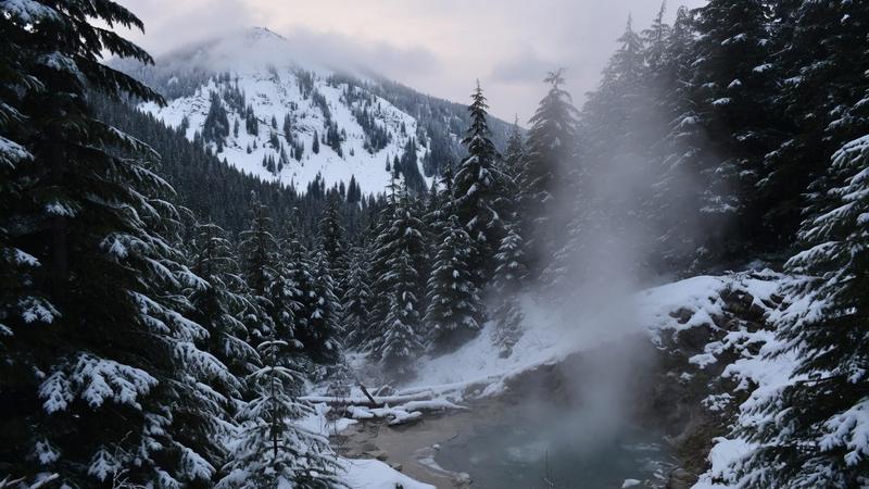 Steam over a snow forest